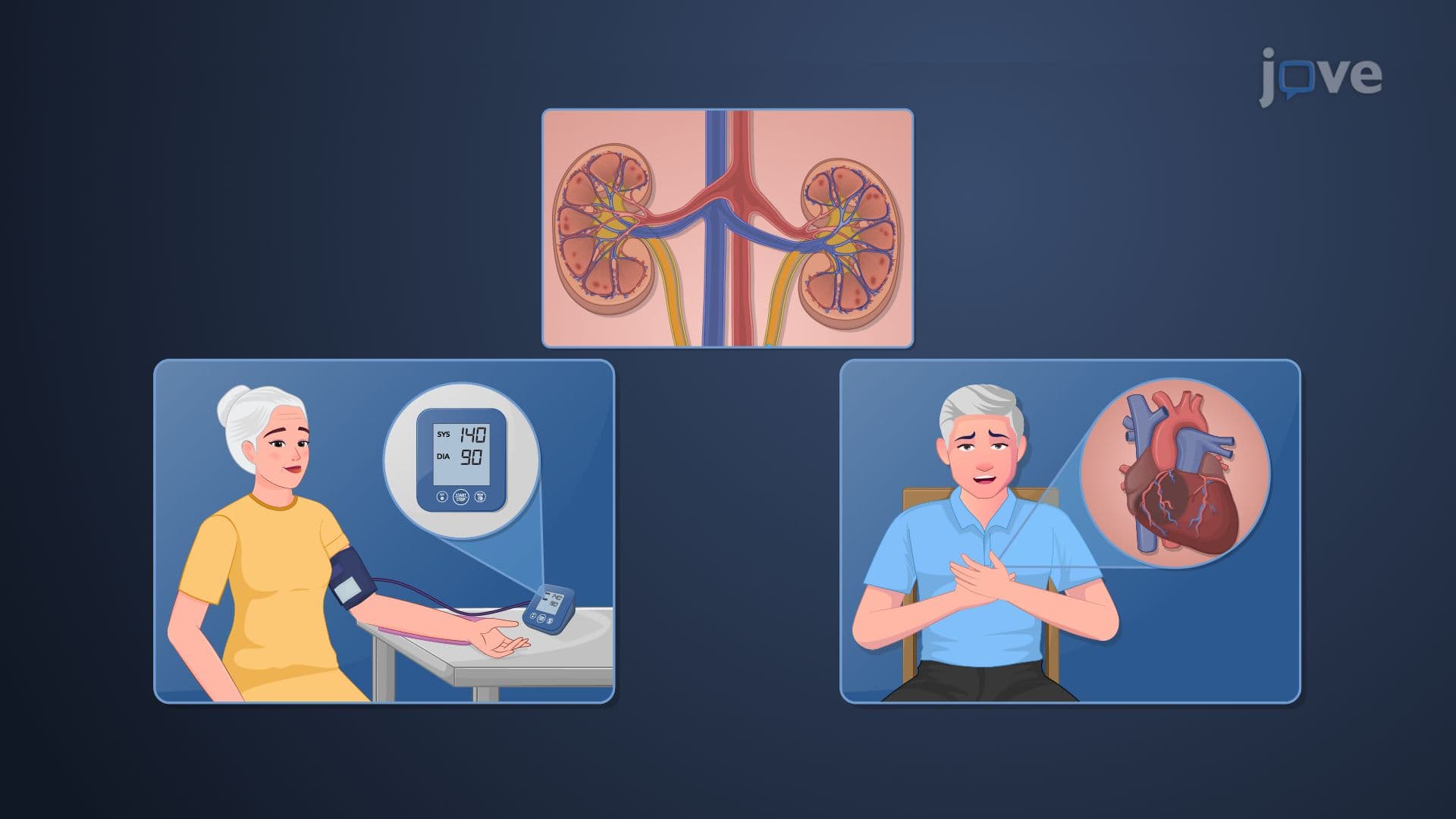Pharmacokinetics in Geriatric Patients: Effect of Age on Drug Excretion